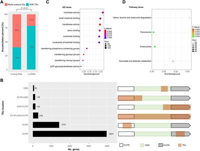 The Landscapes of Full-Length Transcripts and Splice Isoforms as Well as Transposons Exonization in the Lepidopteran Model System, Bombyx mori